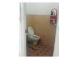 toilet standard