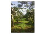 Dijual 2 unit villa dgn tanah seluas 1 hektare, lokasi di Ciater Subang Jawa barat